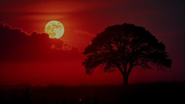Blood Moon 1