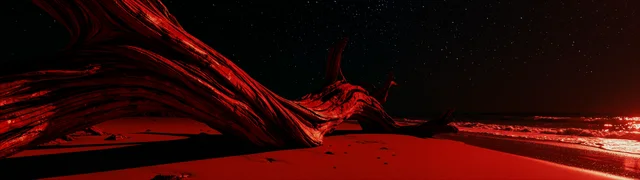 Driftwood Stargaze
