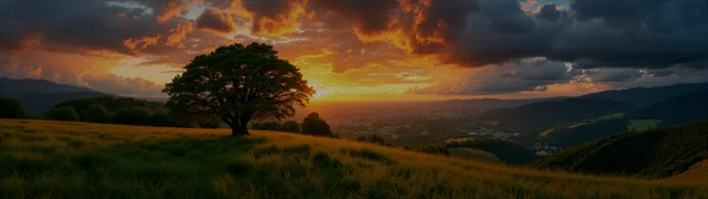 Hill View