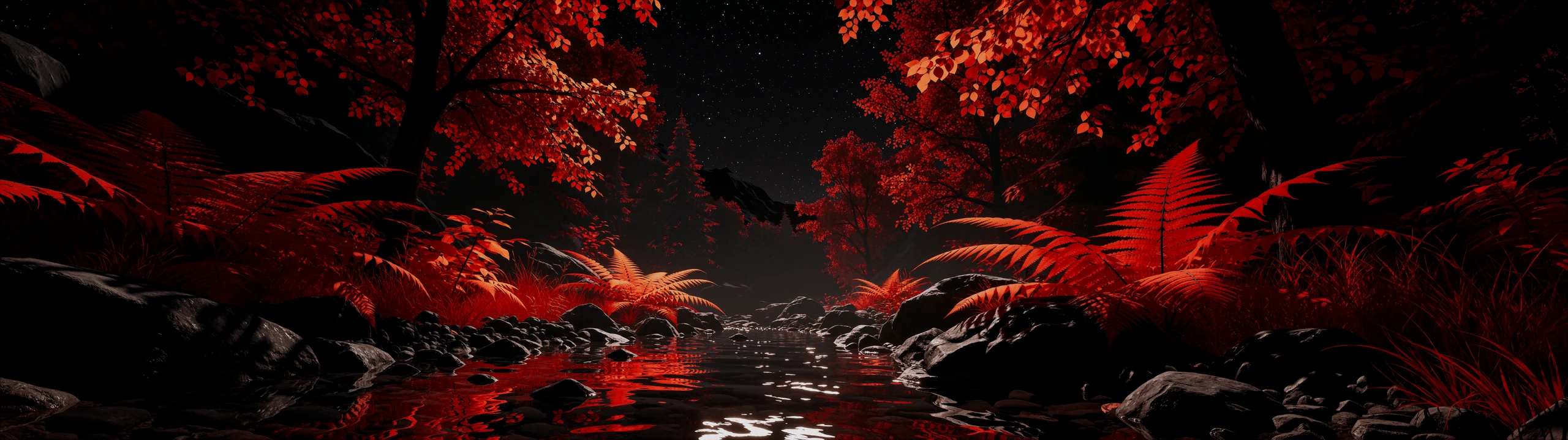 Night Stream