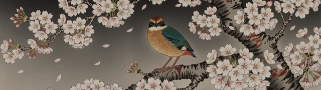 Sakura Reverie