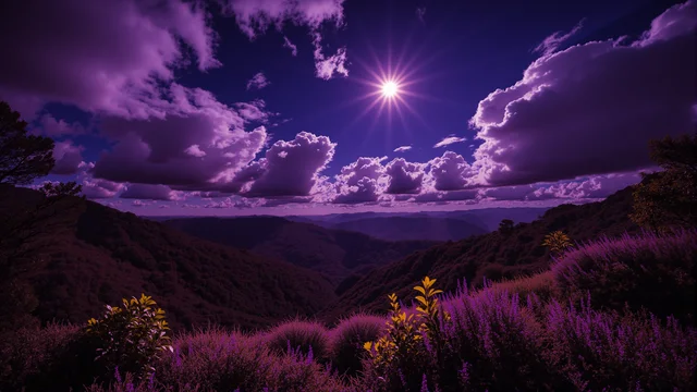Violet Dreams 1