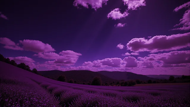 Violet Dreams 3